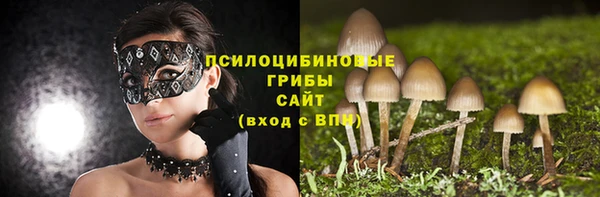 2c-b Магас